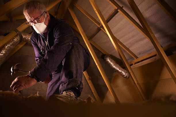 Best Geographic-Specific Insulation Services in Pine Mountain, GA